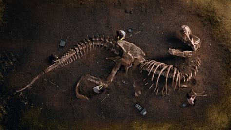 The Enchanting World of Prehistoric Magic: Paleontology's Mysterious Allure